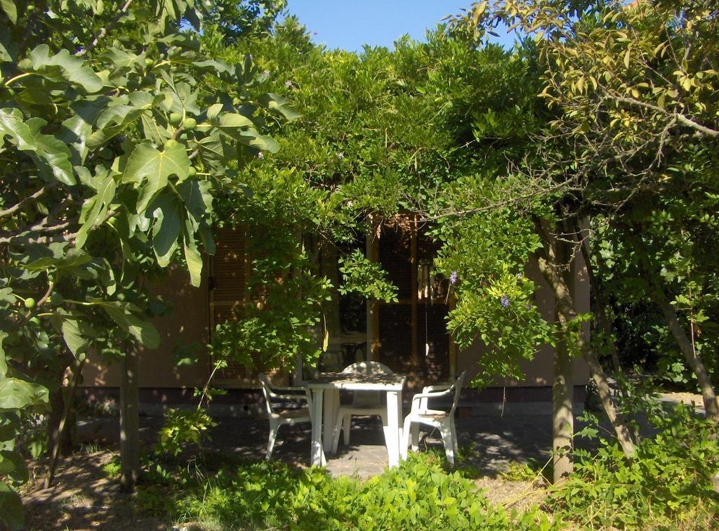 Villa Le Navi Antiche à Pise Extérieur photo