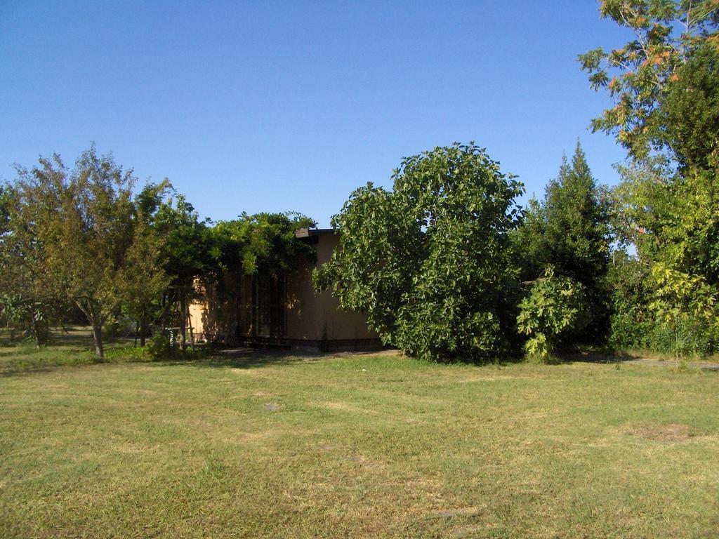 Villa Le Navi Antiche à Pise Extérieur photo